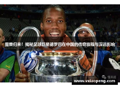 魔兽归来！揭秘足球巨星德罗巴在中国的传奇旅程与深远影响
