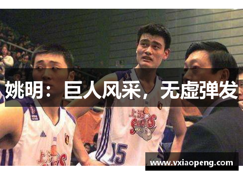 姚明：巨人风采，无虚弹发