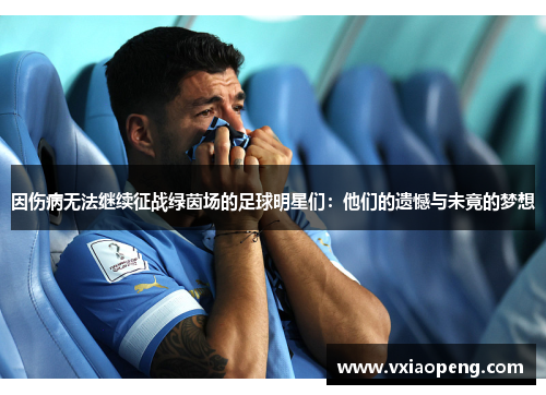 因伤病无法继续征战绿茵场的足球明星们：他们的遗憾与未竟的梦想