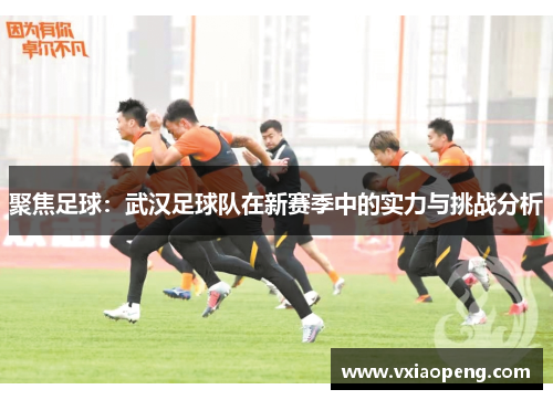 聚焦足球：武汉足球队在新赛季中的实力与挑战分析