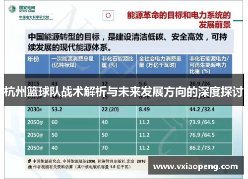 杭州篮球队战术解析与未来发展方向的深度探讨
