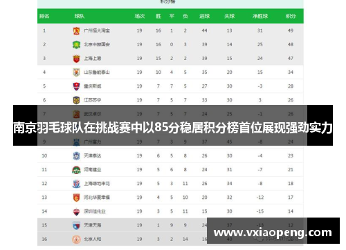南京羽毛球队在挑战赛中以85分稳居积分榜首位展现强劲实力