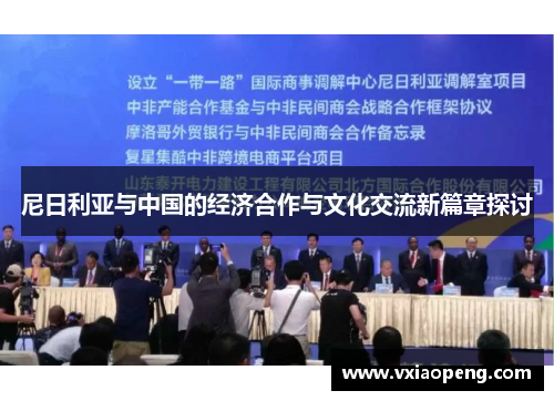 尼日利亚与中国的经济合作与文化交流新篇章探讨