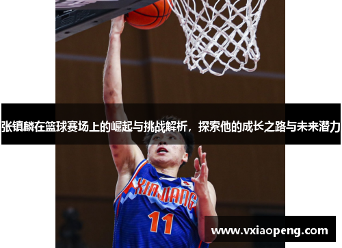 张镇麟在篮球赛场上的崛起与挑战解析，探索他的成长之路与未来潜力