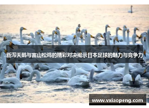 新泻天鹅与富山松鸡的精彩对决揭示日本足球的魅力与竞争力
